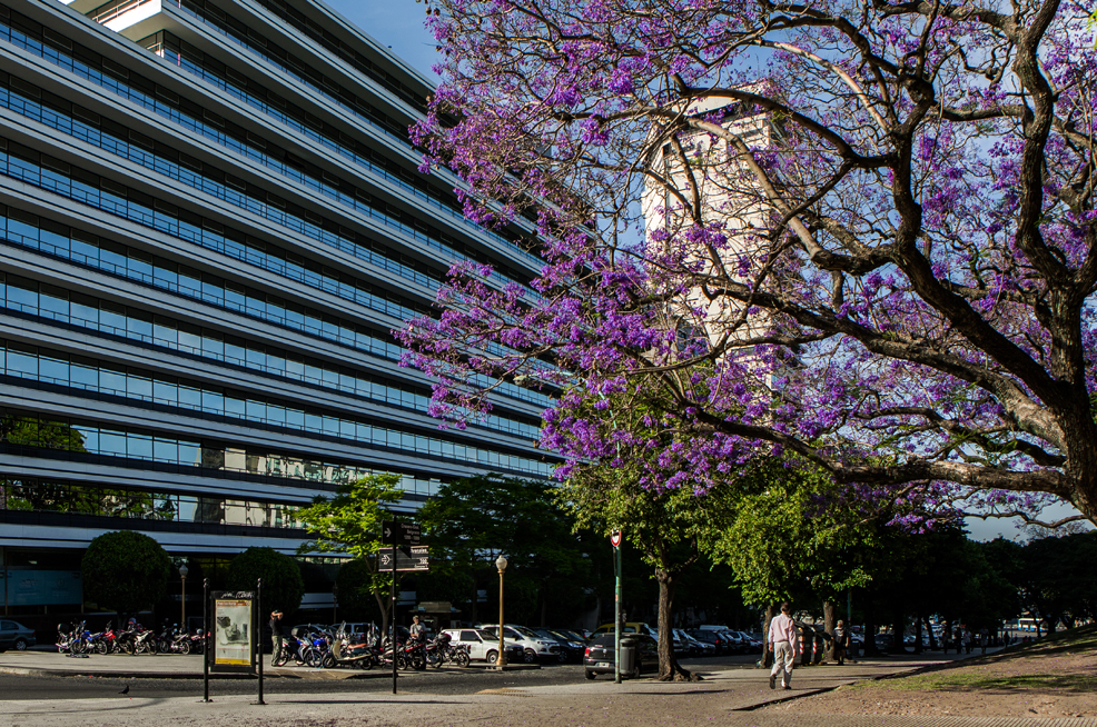 Buenos Aires. 2014 �.