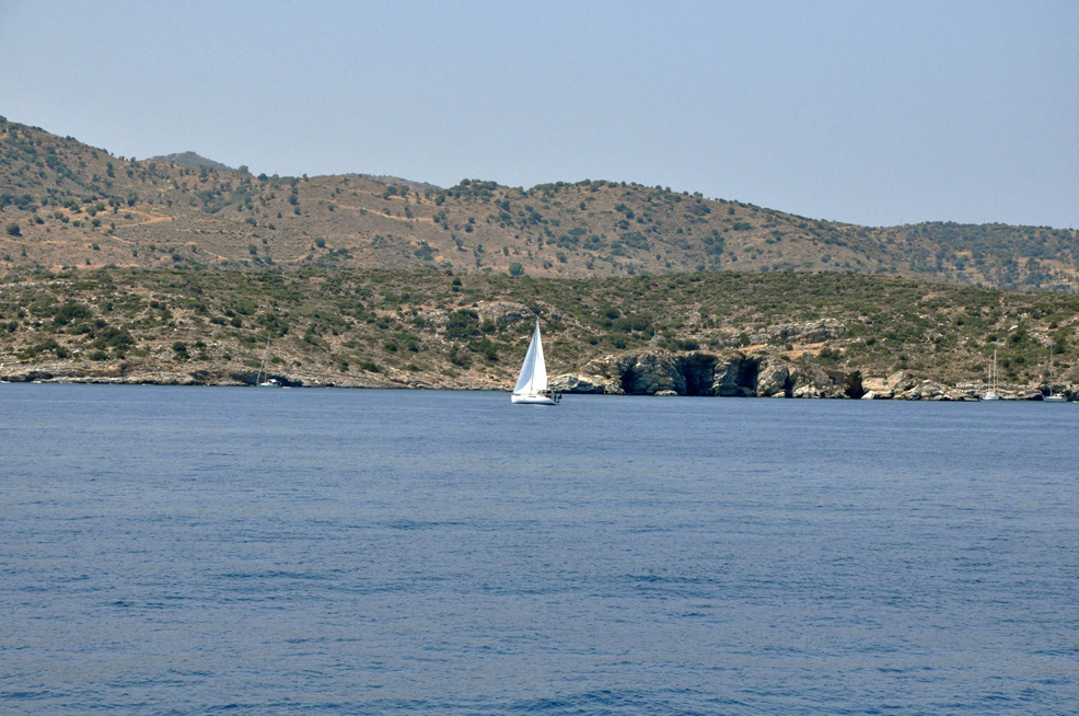 ������. ������ ����� (Aegina). 2015 �.