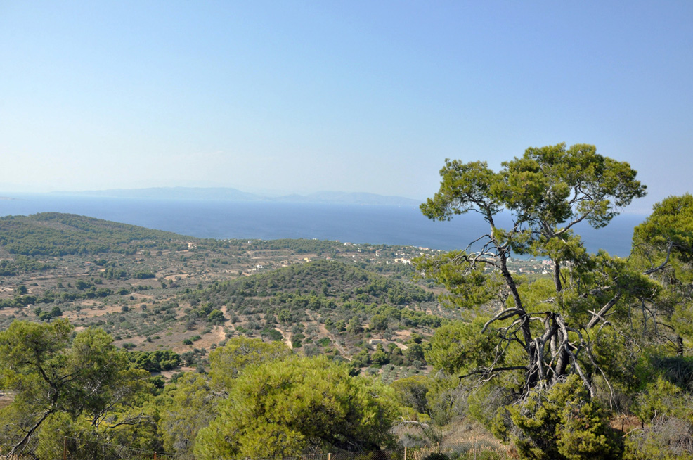 ������. ������ ����� (Aegina). 2015 �.