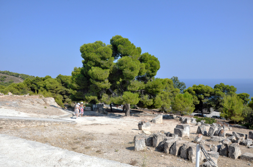 ������. ������ ����� (Aegina). 2015 �.