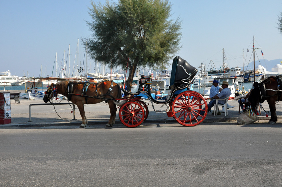 ������. ������ ����� (Aegina). 2015 �.