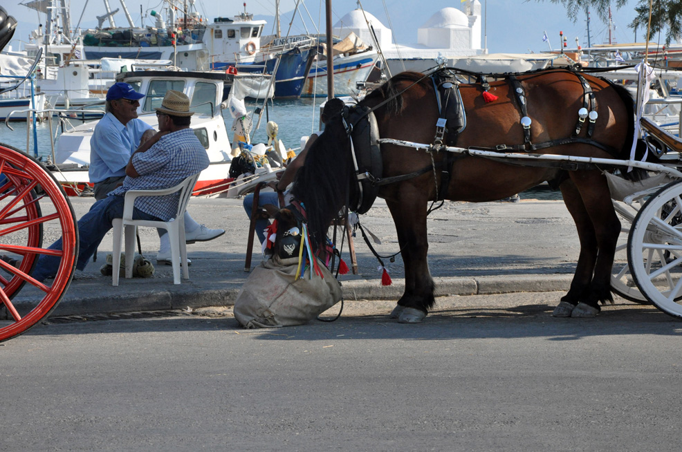 ������. ������ ����� (Aegina). 2015 �.