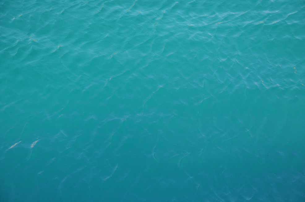 ������. ������ ����� (Aegina). 2015 �.