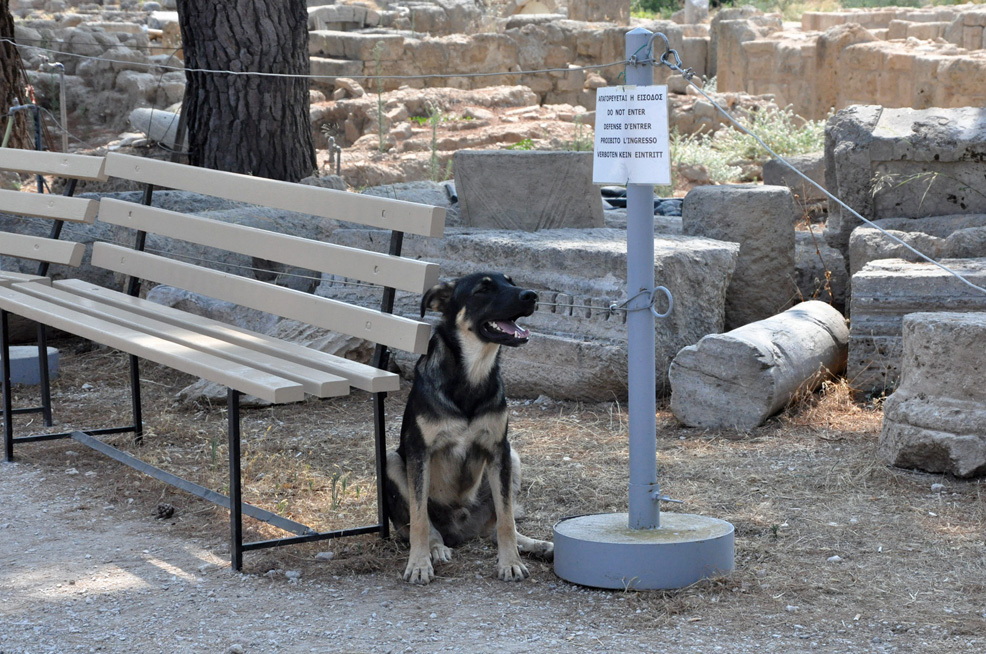 ������. ������� ������ (Corinth). 2015 �.