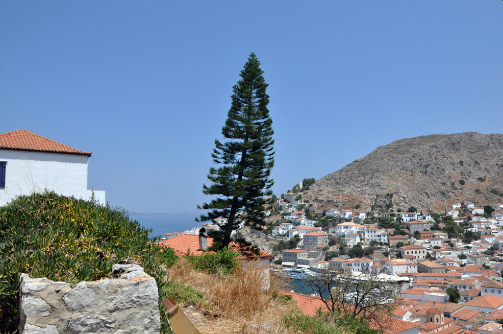 ������. ������ ����� (Hydra). 2015 �.
