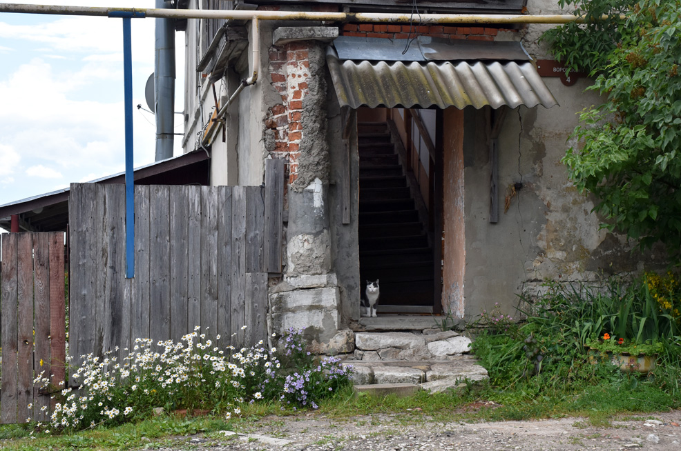 �������. ������������ �����. ���� 2026 �.