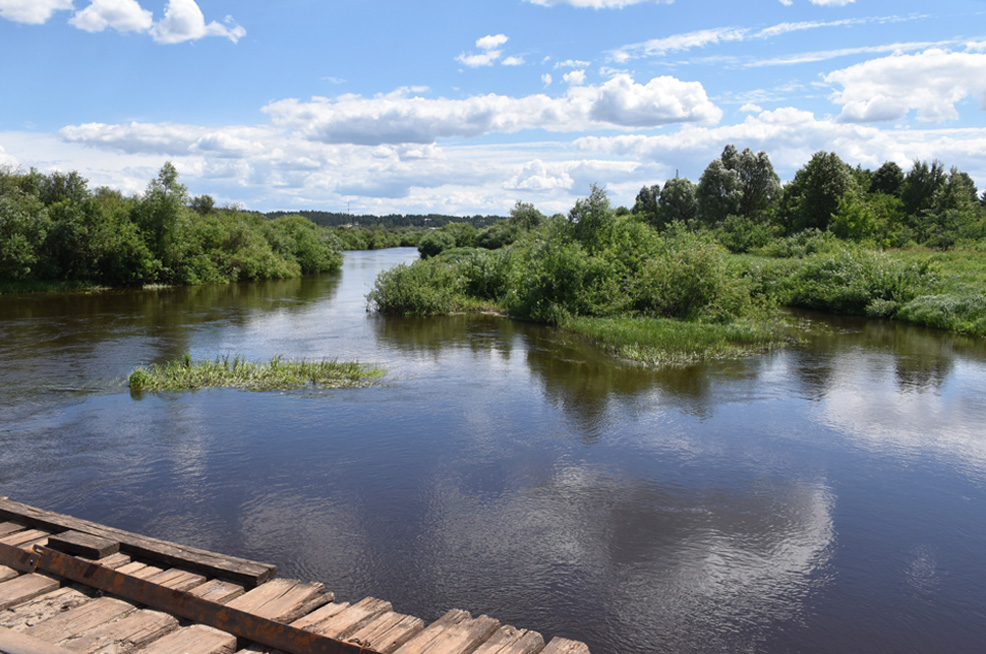 ���� ������. ���� 2026 �.